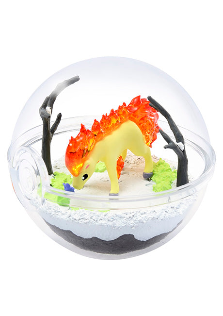 Pokemon - Terrarium Collection Vol. 5 - Re-ment - Blind Box, Franchise: Pokemon, Brand: Re-ment, Release Date: 18th March 2019, Type: Blind Boxes, Box Dimensions: 100mm (Height) x 70mm (Width) x 70mm (Depth), Material: PVC, ABS, Number of types: 6 types, Store Name: Nippon Figures