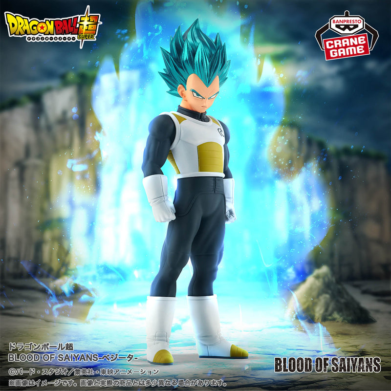 Dragon Ball Super - Vegeta - BLOOD OF SAIYANS (Bandai Spirits)