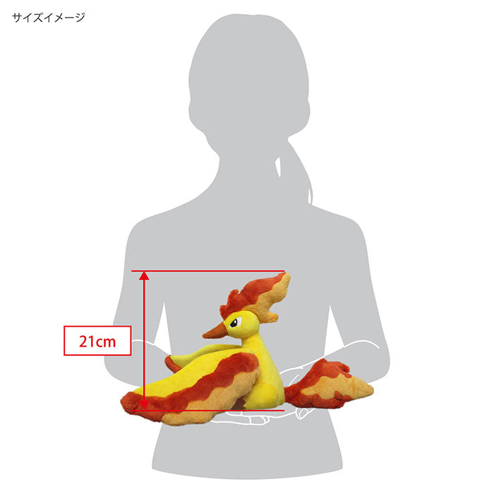 Pokemon - Moltres (S) PP190 - All Star Collection - San-ei Boeki - Plush, Franchise: Pokemon, Brand: San-ei Boeki, Type: Plushies, Dimensions: W39×D24×H21cm, Store Name: Nippon Figures