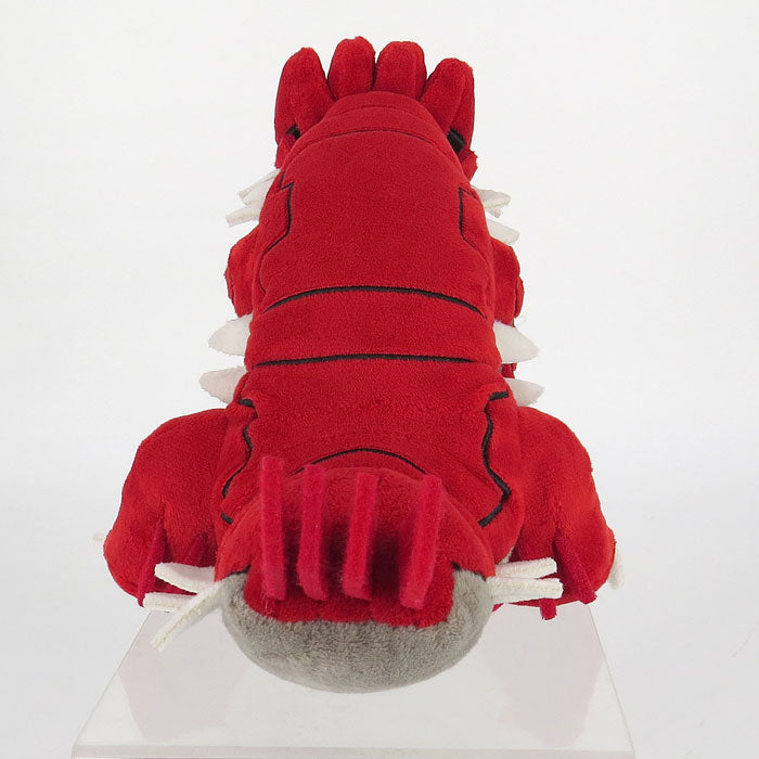 Pokemon - Groudon PP206 (S) Plush - All Star Collection by San-ei Boeki, Dimensions: W15×D25×H17.5 cm, Nippon Figures