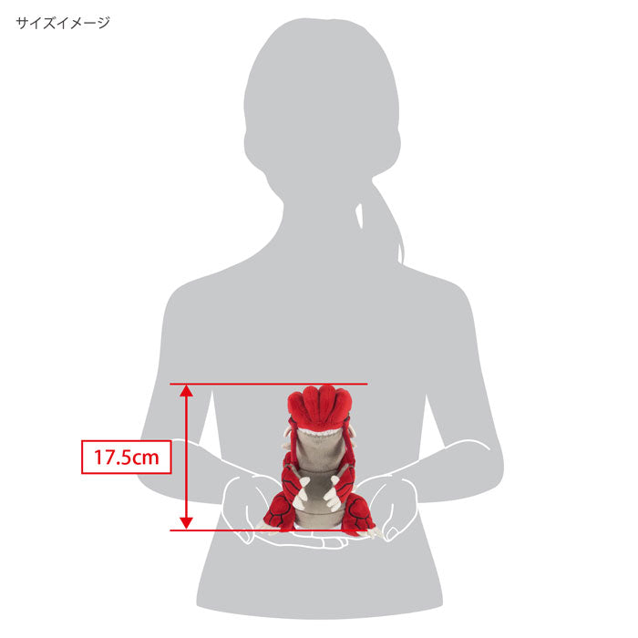 Pokemon - Groudon PP206 (S) Plush - All Star Collection by San-ei Boeki, Dimensions: W15×D25×H17.5 cm, Nippon Figures