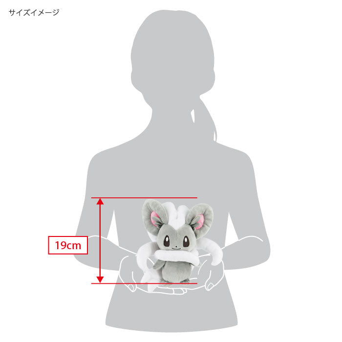 Pokemon - Cinccino PP214 (S) - All Star Collection - San-ei Boeki - Plush, Franchise: Pokemon, Brand: San-ei Boeki, Type: Plushies, Dimensions: W19×D12.5×H19 cm, Nippon Figures