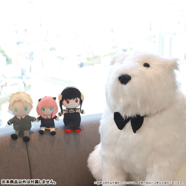 Spy x Family - Bond - Plush (Movic), Franchise: Spy x Family, Brand: Movic, Release Date: 20. Apr 2023, Type: Plushies, Nippon Figures