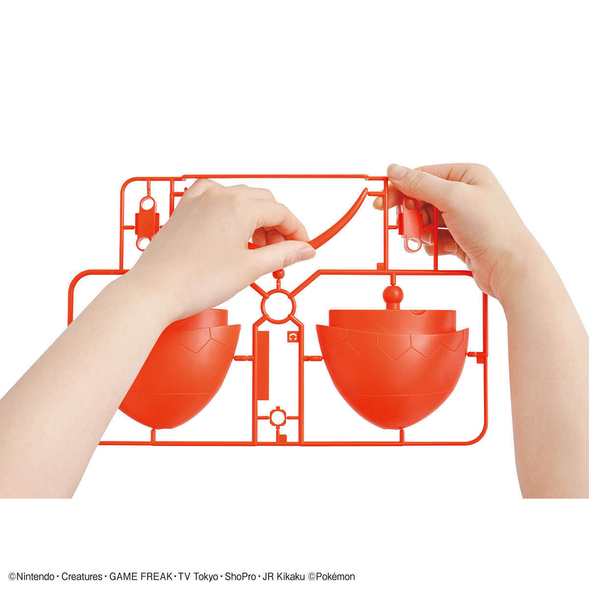 Pokémon - Magikarp - Pokémon Model Kit BIG Collection No. 01 (Bandai), Easy to assemble with just 30 large parts, includes a dedicated display base, Nippon Figures