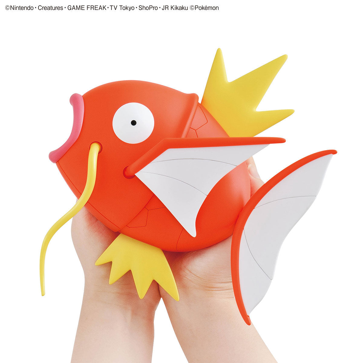 Pokémon - Magikarp - Pokémon Model Kit BIG Collection No. 01 (Bandai), Easy to assemble with just 30 large parts, includes a dedicated display base, Nippon Figures