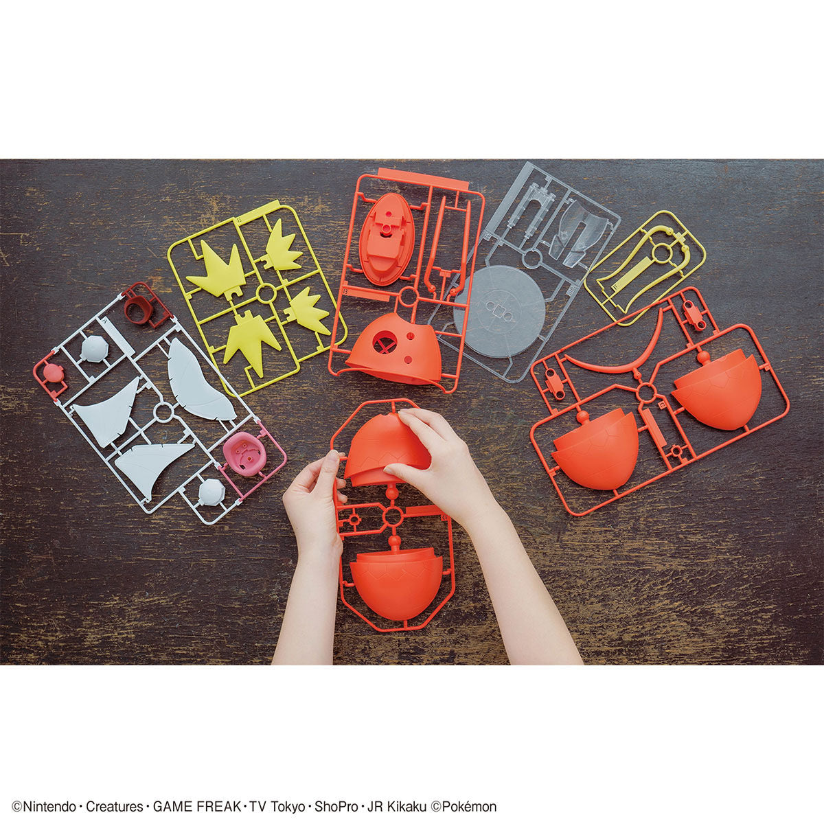 Pokémon - Magikarp - Pokémon Model Kit BIG Collection No. 01 (Bandai), Easy to assemble with just 30 large parts, includes a dedicated display base, Nippon Figures