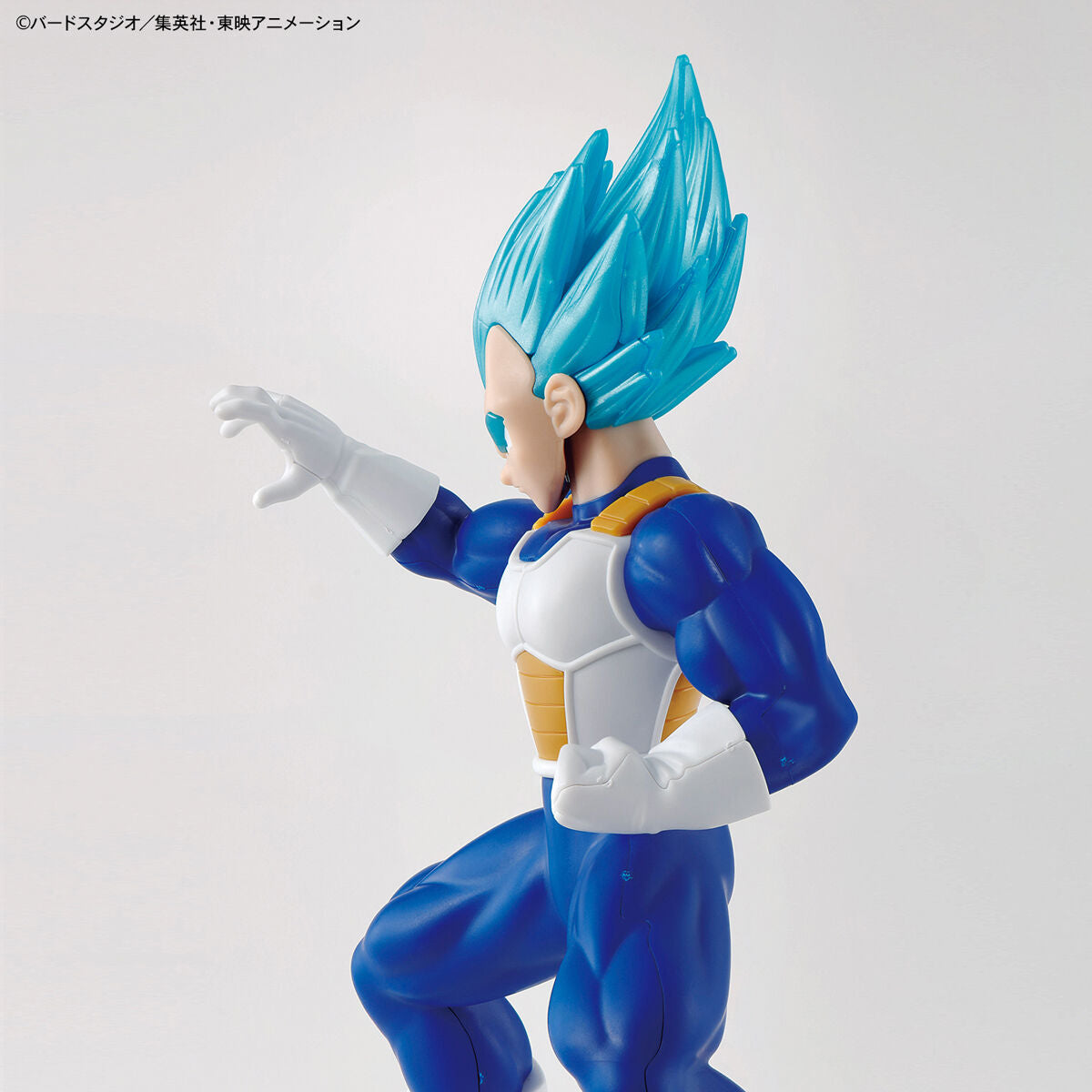 Dragon Ball - Super Saiyan God Vegeta - Entry Grade Model Kit (Bandai), Featuring detailed muscle sculpting, color-separated eyes and eyebrows, snap-fit assembly, 4 runners included, from Nippon Figures