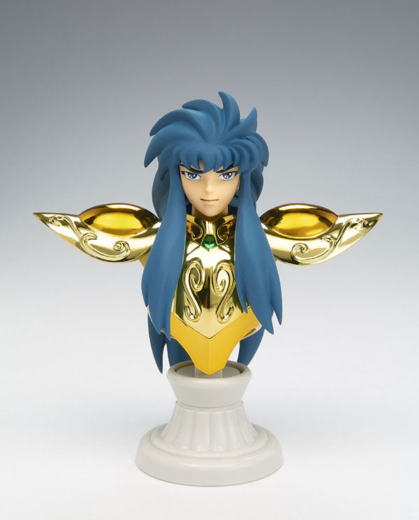 Saint Cloth Myth APPENDIX - Aquarius Camus, Bandai, Release Date: 28. Feb 2009, Material: ABS, DIE CAST, PVC, Nippon Figures