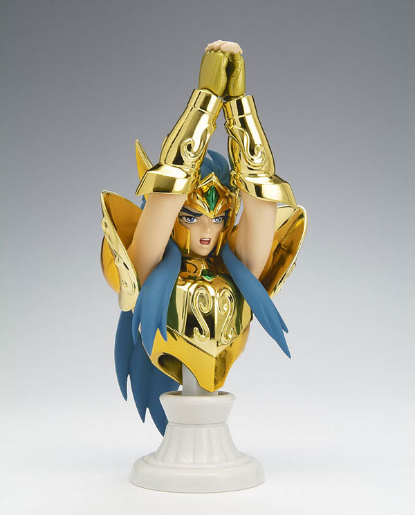 Saint Cloth Myth APPENDIX - Aquarius Camus, Bandai, Release Date: 28. Feb 2009, Material: ABS, DIE CAST, PVC, Nippon Figures