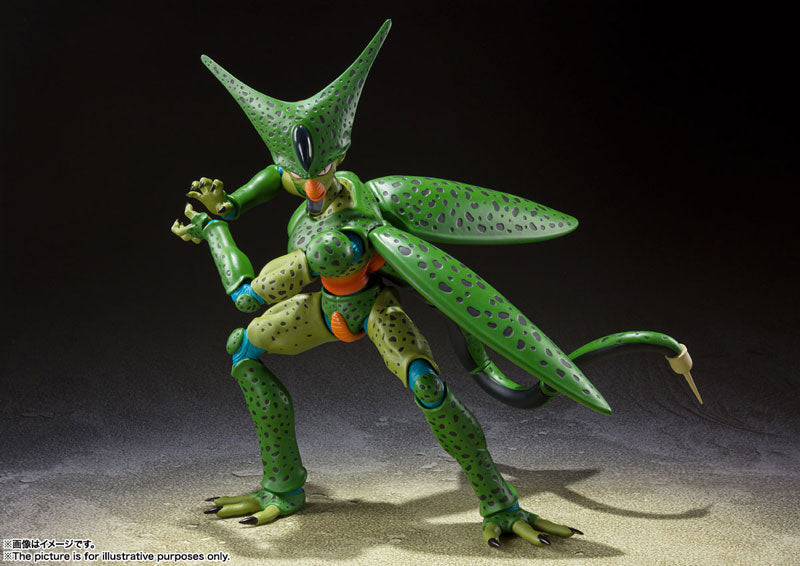 Dragon Ball Z - Cell First Form - S.H.Figuarts (Bandai Spirits), Release Date: 31. Aug 2022, Dimensions: 170.0 mm, Store Name: Nippon Figures