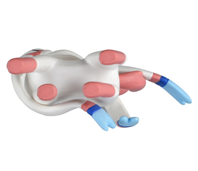 Pokemon - Sylveon - Monster Collection (MonColle) - Takara Tomy, Franchise: Pokemon, Brand: Takara Tomy, Series: MonColle (Pokemon Monster Collection), Release Date: 2023-11-04, Store Name: Nippon Figures