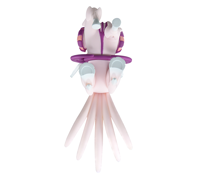 Pokemon - ML-28 Palkia (Origin Form) - Monster Collection (MonColle) - Takara Tomy, Franchise: Pokemon, Brand: Takara Tomy, Series: MonColle (Pokemon Monster Collection), Type: General, Release Date: 2023-11-04, Dimensions: approx. Height = 10 cm // 3.9 inches, Nippon Figures