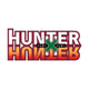 Hunter X Hunter Figures