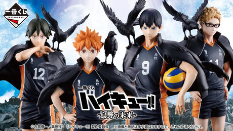 Ichiban Kuji - Haikyuu!! - Future of Karasuno (Full Set + Last One)
