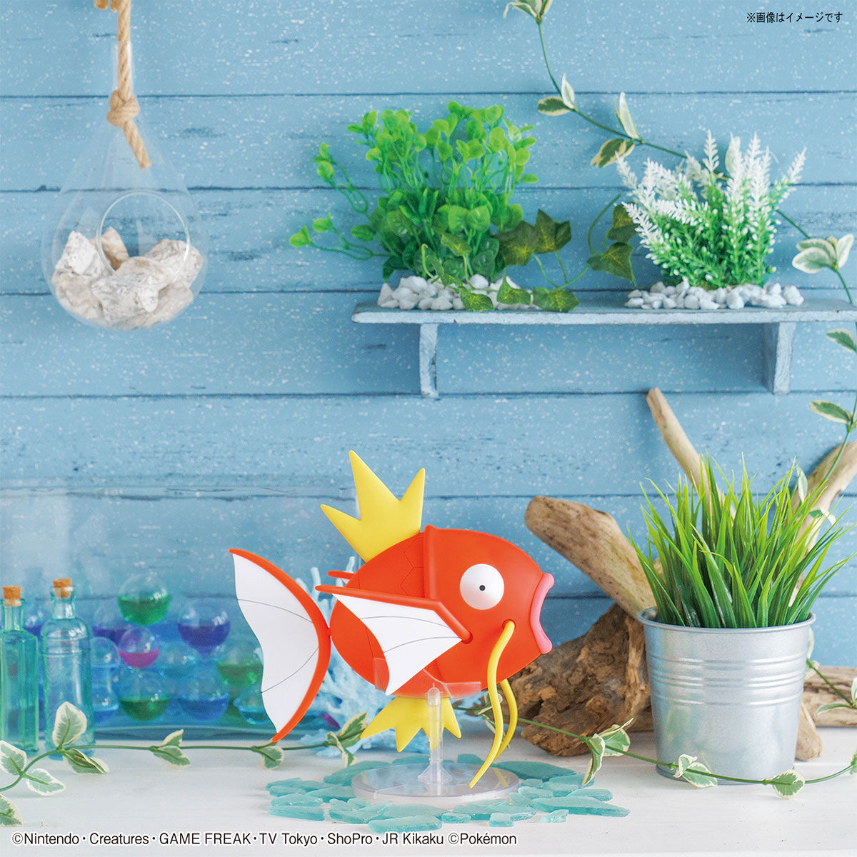 Pokémon - Magikarp - Pokémon Model Kit BIG Collection No. 01 (Bandai), Easy to assemble with just 30 large parts, includes a dedicated display base, Nippon Figures
