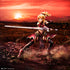 Fate/Apocrypha - Mordred - 1/7 - Seihai Taisen - Aniplex Limited, Franchise: Fate/Apocrypha, Brand: Aniplex, Release Date: 29. Jun 2019, Dimensions: 204 mm, Scale: 1/7, Material: ABS, PVC, Store Name: Nippon Figures